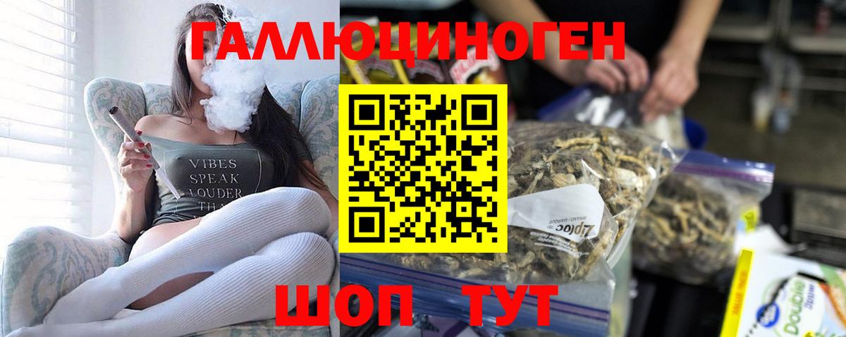 Галлюциногенные грибы Psilocybe Мариинск